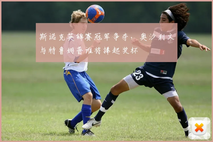 斯诺克英锦赛冠军争夺,奥沙利文与特鲁姆普谁将捧起奖杯